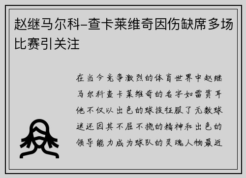赵继马尔科-查卡莱维奇因伤缺席多场比赛引关注